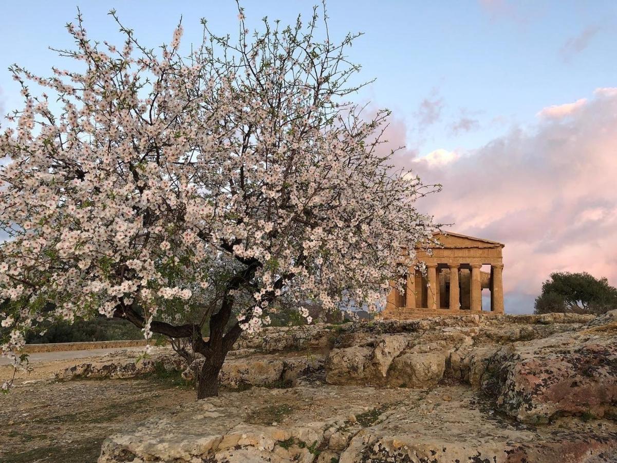 Alfa Quadro Bed and Breakfast Agrigento Exteriör bild